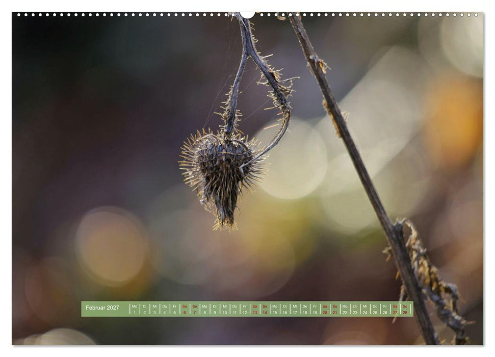 Zauber des Lichts (CALVENDO Premium Wandkalender 2027)