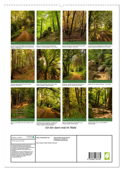 Ich bin dann mal im Wald (CALVENDO Premium Wandkalender 2027)
