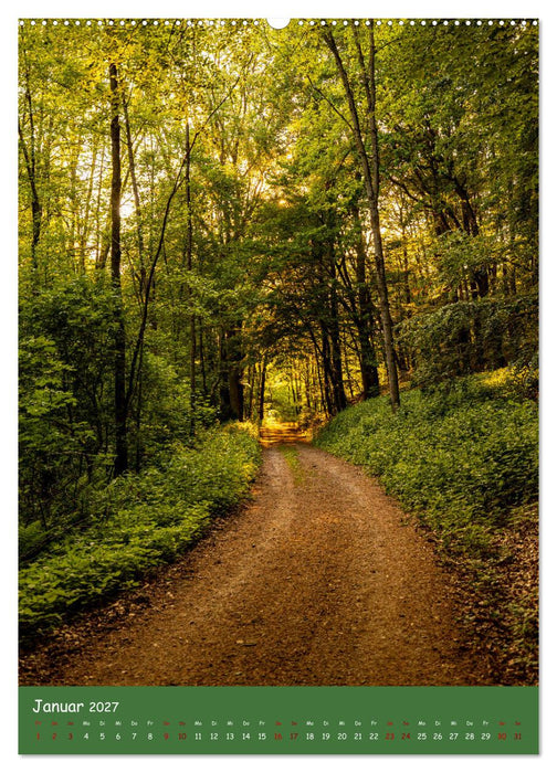 Ich bin dann mal im Wald (CALVENDO Premium Wandkalender 2027)