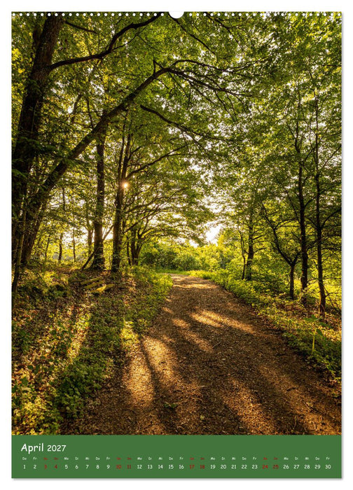 Ich bin dann mal im Wald (CALVENDO Premium Wandkalender 2027)