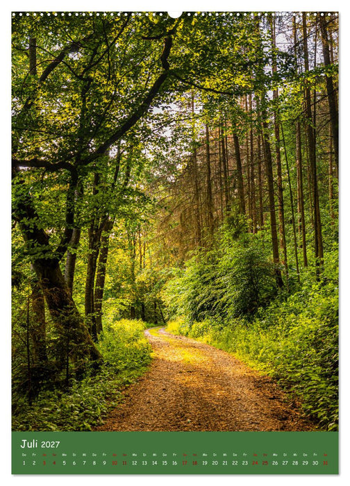 Ich bin dann mal im Wald (CALVENDO Premium Wandkalender 2027)