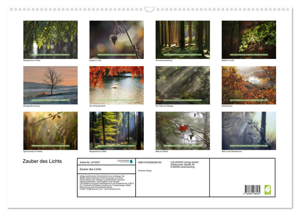 Zauber des Lichts (CALVENDO Wandkalender 2027)