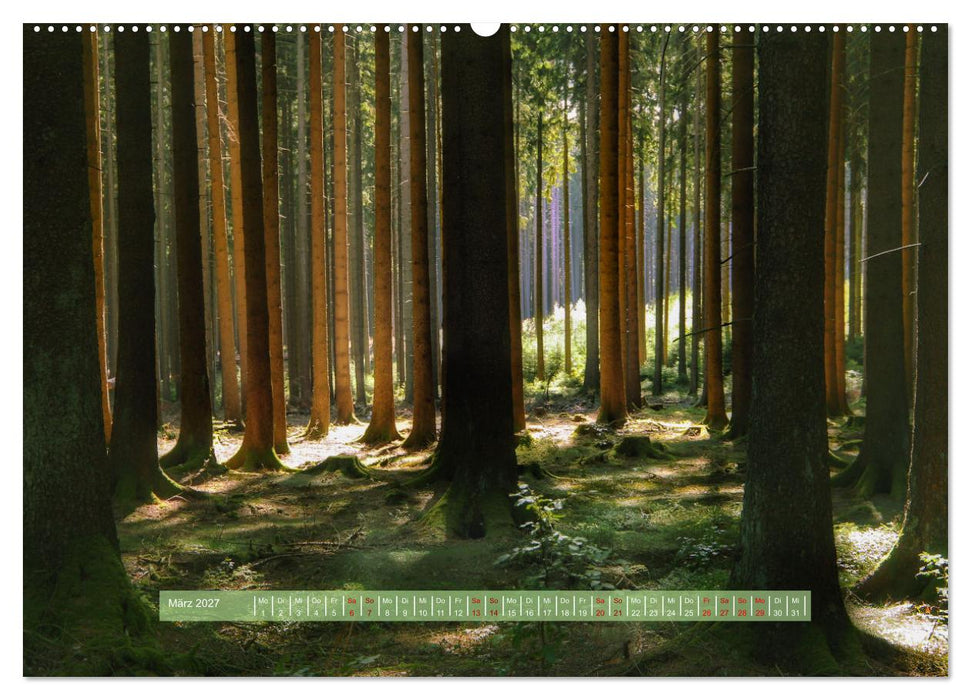 Zauber des Lichts (CALVENDO Wandkalender 2027)