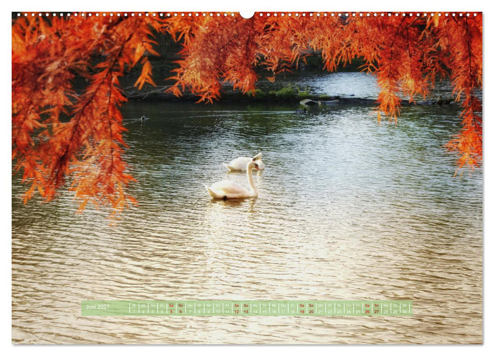 Zauber des Lichts (CALVENDO Wandkalender 2027)