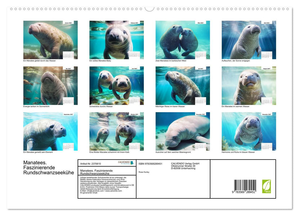 Manatees. Faszinierende Rundschwanzseekühe (CALVENDO Premium Wandkalender 2027)