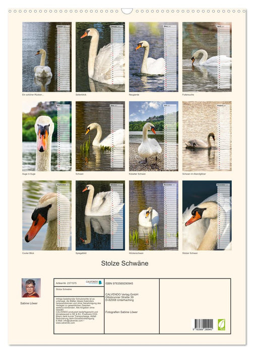 Stolze Schwäne (CALVENDO Wandkalender 2027)