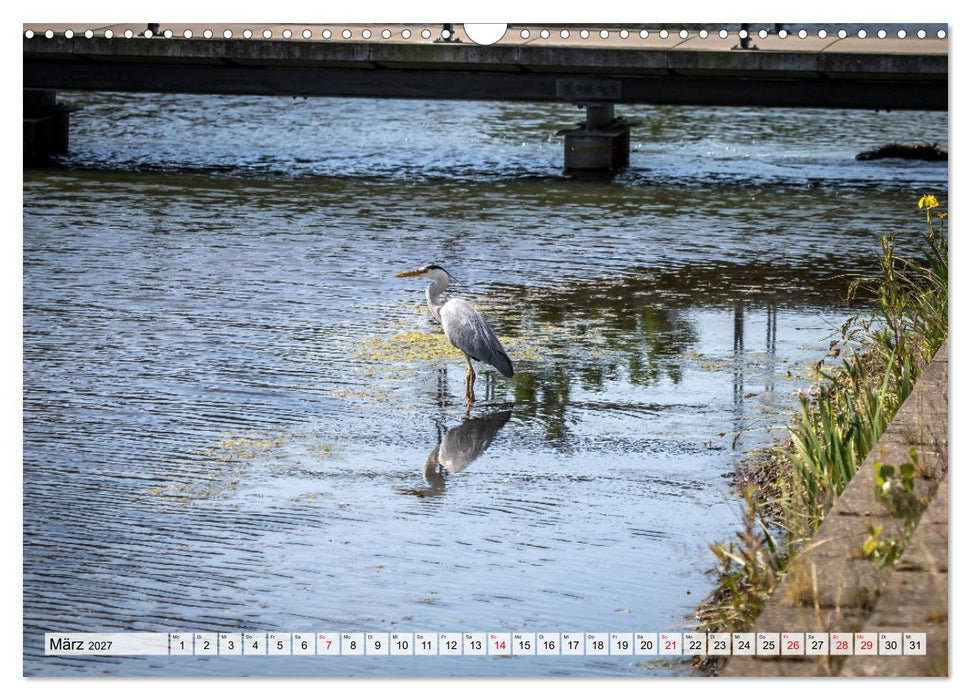 Emsauenpark Lingen (CALVENDO Wandkalender 2027)