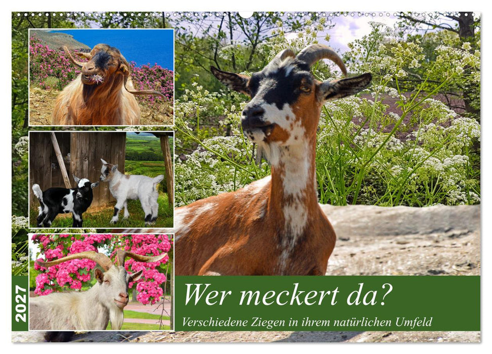 Wer meckert da? (CALVENDO Wandkalender 2027)
