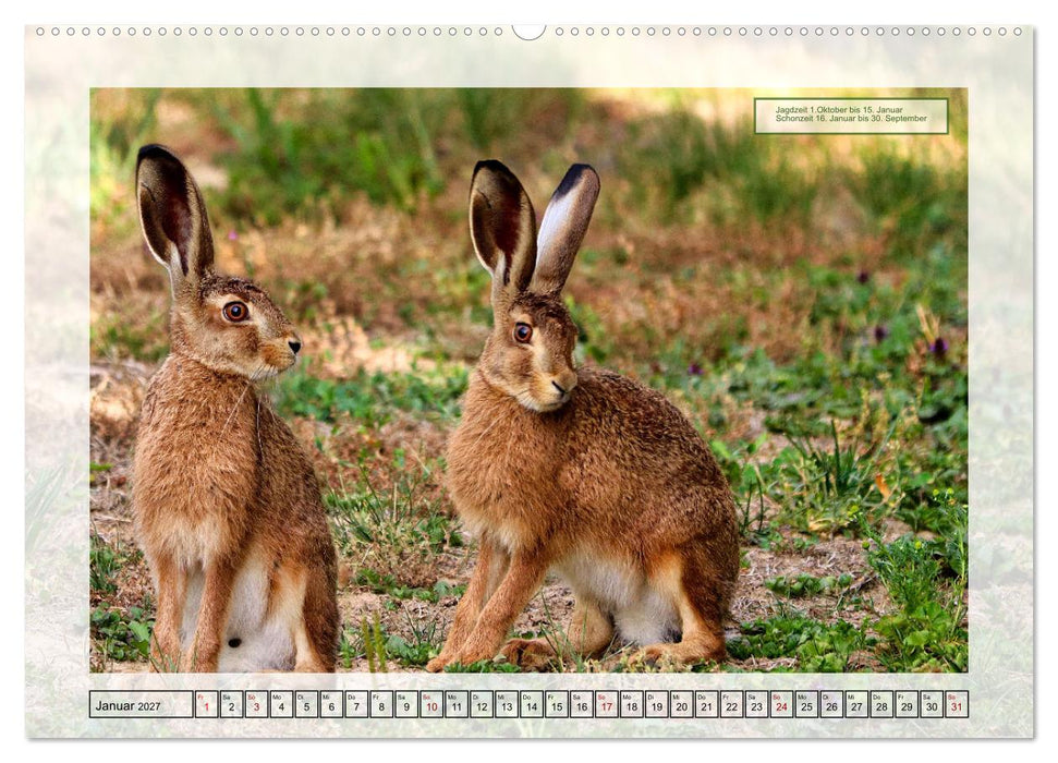 Deutsches Jagdwild - Waidmannsheil (CALVENDO Premium Wandkalender 2027)
