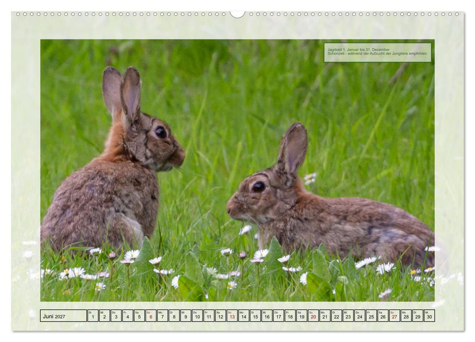 Deutsches Jagdwild - Waidmannsheil (CALVENDO Premium Wandkalender 2027)