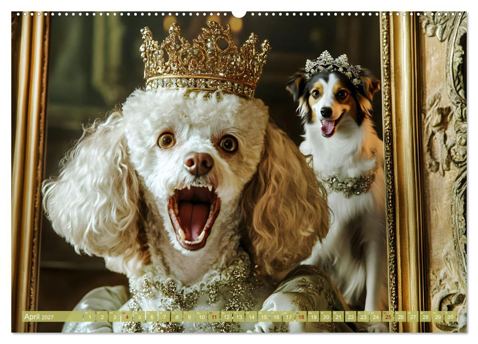 Pfoten Magie (CALVENDO Premium Wandkalender 2027)