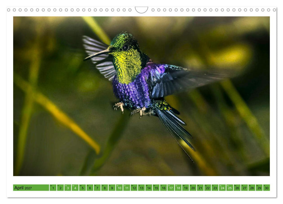 Kolibris; Anmut, Schönheit, Farben (CALVENDO Wandkalender 2027)