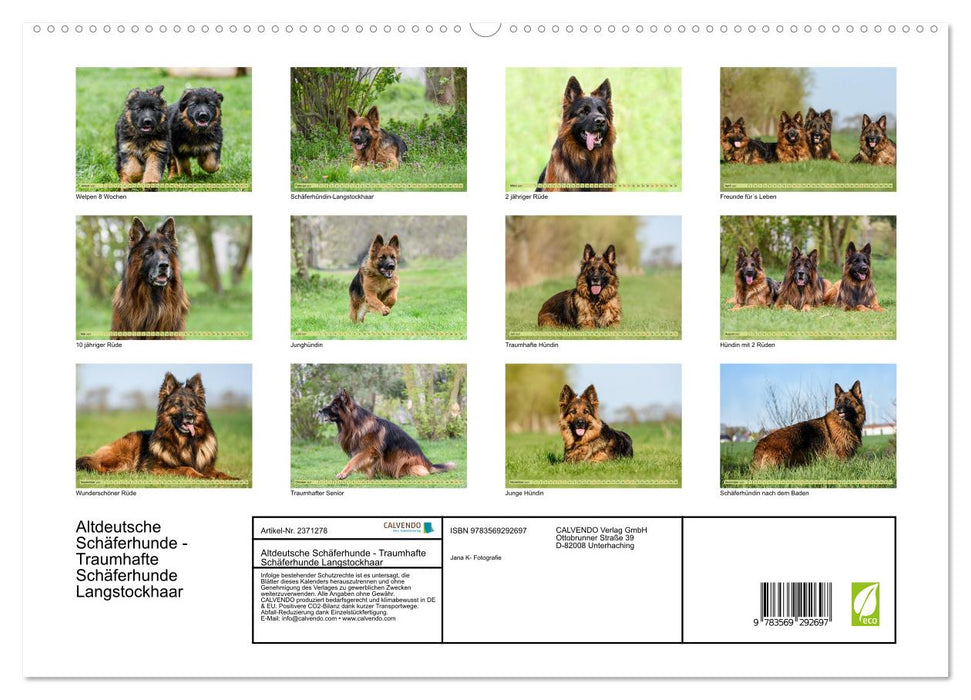 Altdeutsche Schäferhunde - Traumhafte Schäferhunde Langstockhaar (CALVENDO Premium Wandkalender 2027)