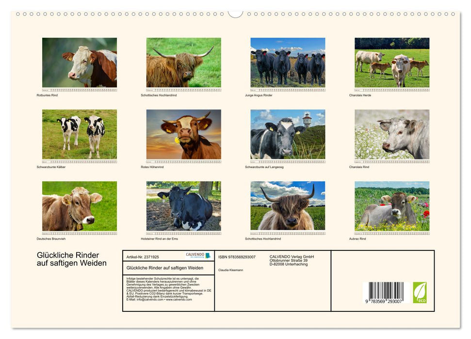 Glückliche Rinder auf saftigen Weiden (CALVENDO Premium Wandkalender 2027)