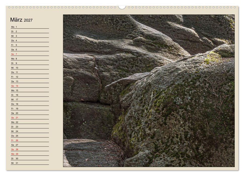 Naturformen, Blatt, Holz, Fels (CALVENDO Wandkalender 2027)