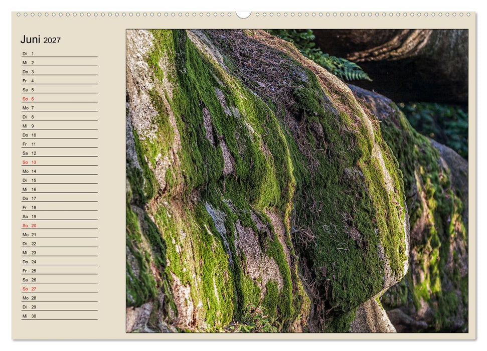Naturformen, Blatt, Holz, Fels (CALVENDO Wandkalender 2027)