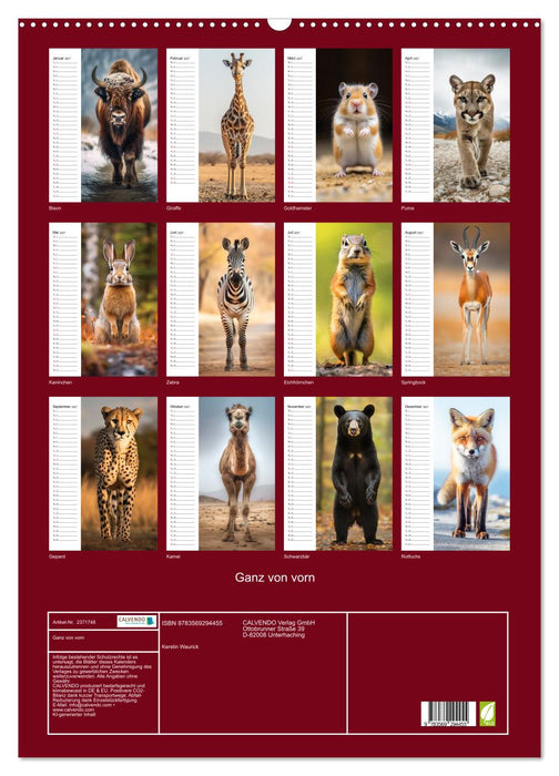 Ganz von vorn (CALVENDO Wandkalender 2027)