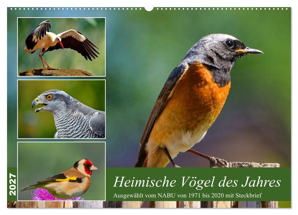 Heimische Vögel des Jahres (CALVENDO Wandkalender 2027)