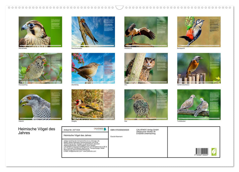 Heimische Vögel des Jahres (CALVENDO Wandkalender 2027)