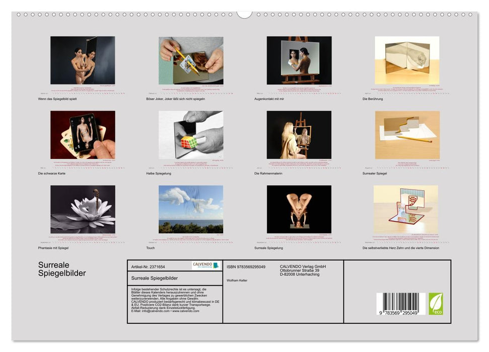 Surreale Spiegelbilder (CALVENDO Premium Wandkalender 2027)