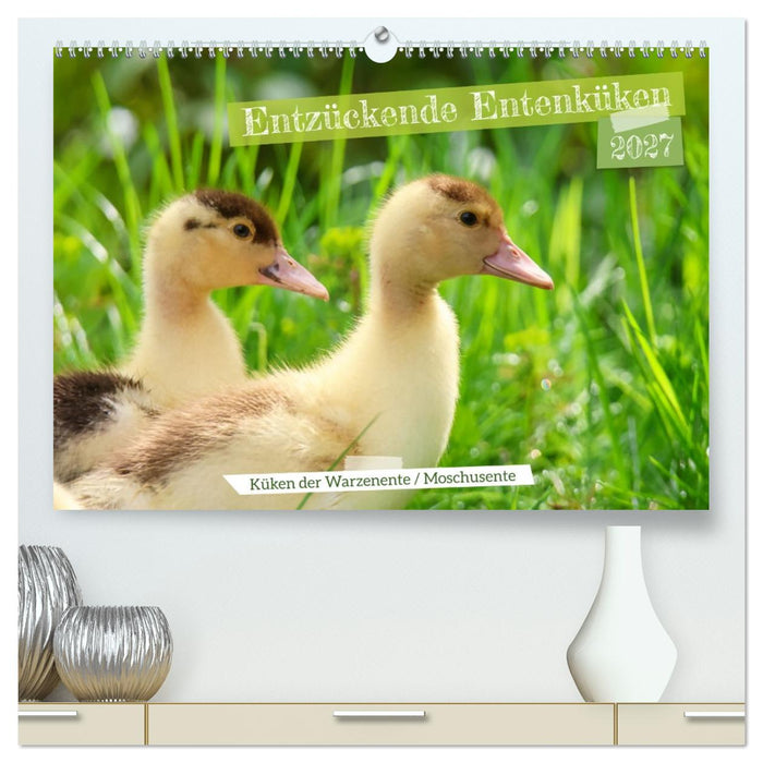 Entzückende Entenküken (CALVENDO Premium Wandkalender 2027)