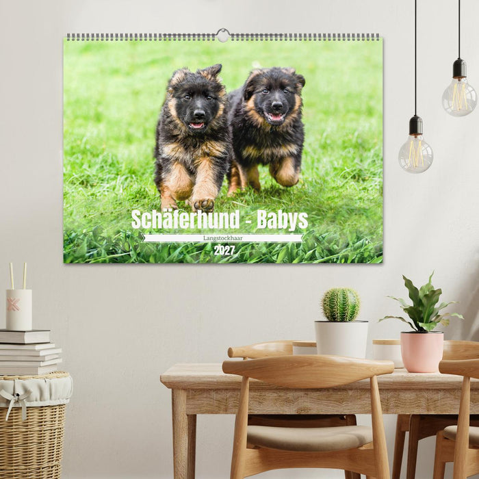 Langstockhaar - Schäferhund - Babys (CALVENDO Wandkalender 2027)