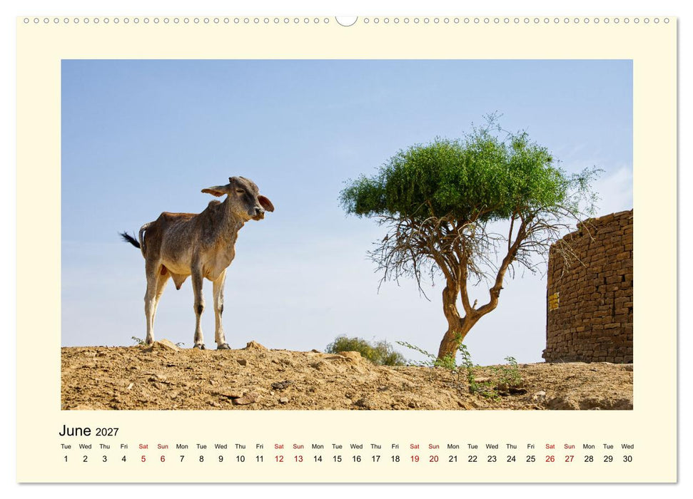 Great impressions of INDIA featuring awesome pictures (CALVENDO Monthly Calendar 2027)