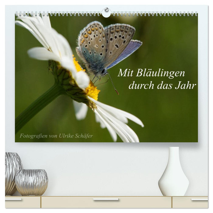 Mit Bläulingen durch das Jahr (CALVENDO Premium Wandkalender 2027)