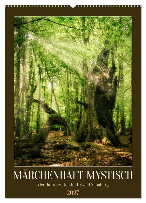 Märchenhaft mystisch (CALVENDO Wandkalender 2027)
