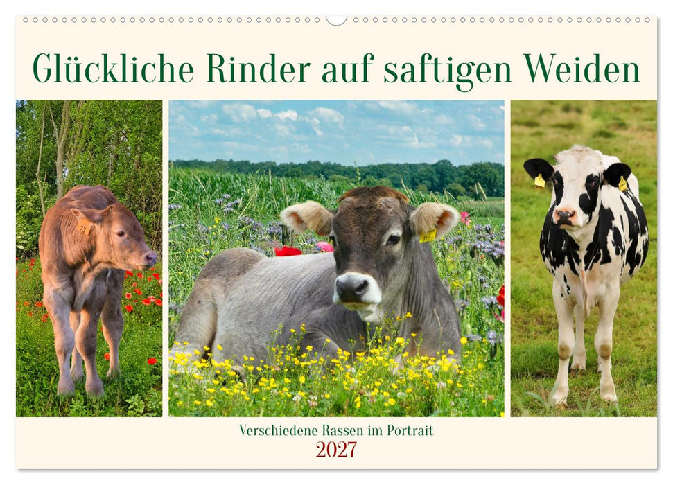 Glückliche Rinder auf saftigen Weiden (CALVENDO Wandkalender 2027)