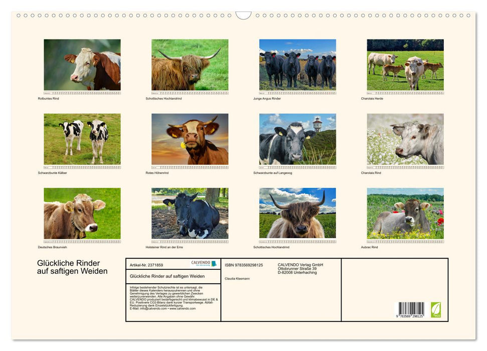 Glückliche Rinder auf saftigen Weiden (CALVENDO Wandkalender 2027)
