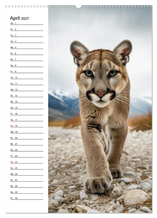 Ganz von vorn (CALVENDO Premium Wandkalender 2027)