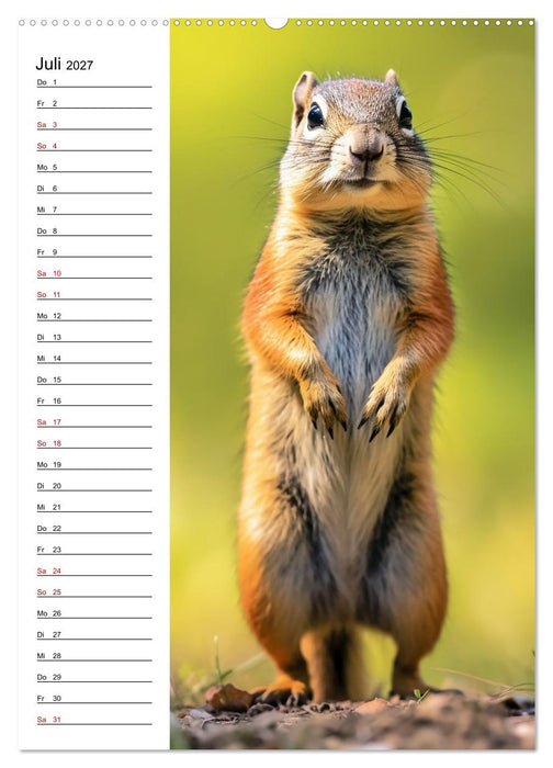 Ganz von vorn (CALVENDO Premium Wandkalender 2027)