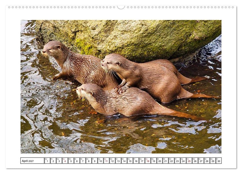 Naturschutz in Deutschland (CALVENDO Wandkalender 2027)