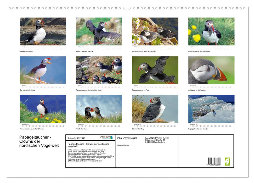 Papageitaucher - Clowns der nordischen Vogelwelt (CALVENDO Wandkalender 2027)
