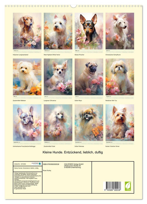 Kleine Hunde. Entzückend, lieblich, duftig (CALVENDO Premium Wandkalender 2027)