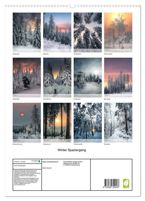 Winter Spaziergang (CALVENDO Premium Wandkalender 2027)