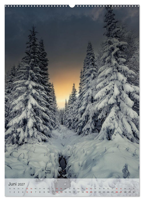 Winter Spaziergang (CALVENDO Premium Wandkalender 2027)