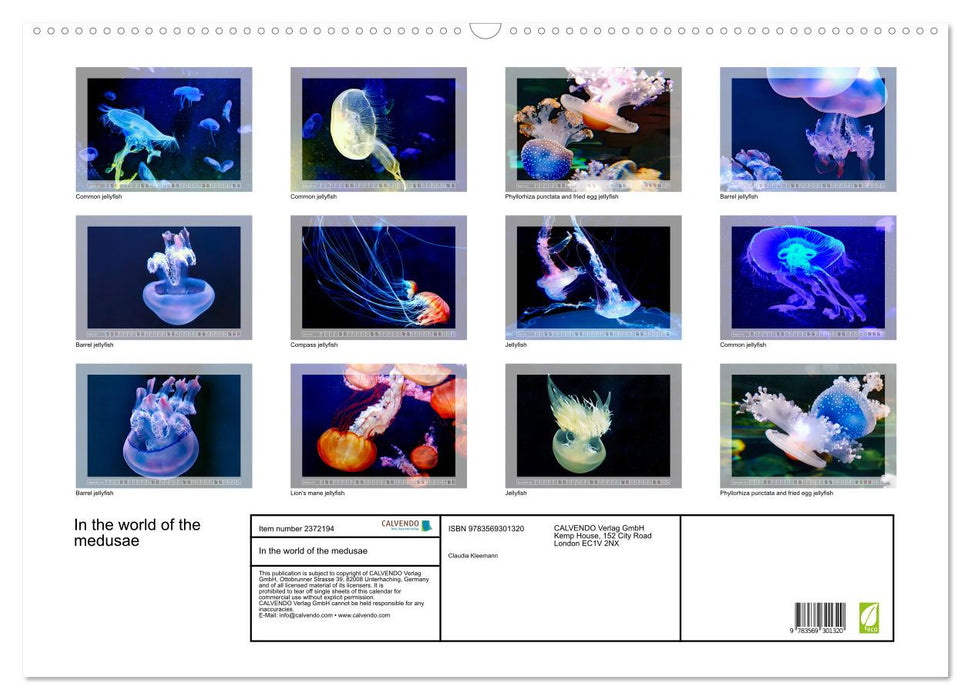 In the world of the medusae (CALVENDO Monthly Calendar 2027)