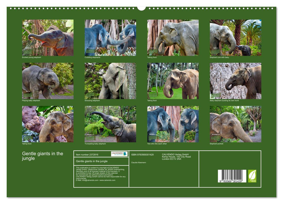 Gentle giants in the jungle (CALVENDO Premium-Calendar 2027)
