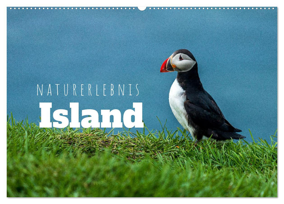 Naturerlebnis Island (CALVENDO Wandkalender 2027)