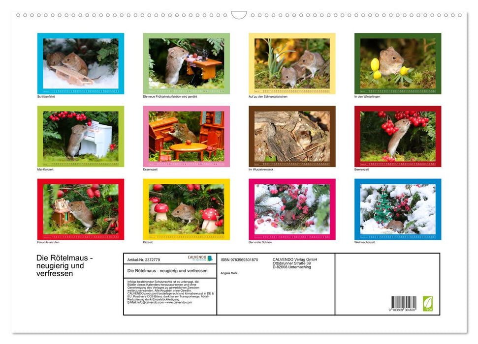 Die Rötelmaus - neugierig und verfressen (CALVENDO Wandkalender 2027)