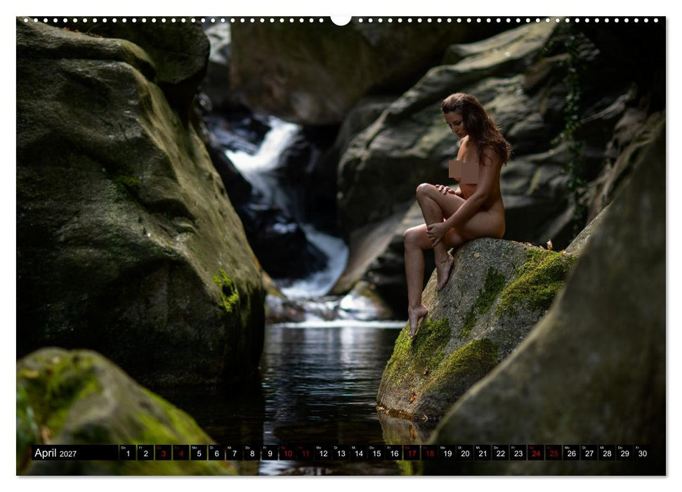 Passion für die Aktfotografie (CALVENDO Premium Wandkalender 2027)