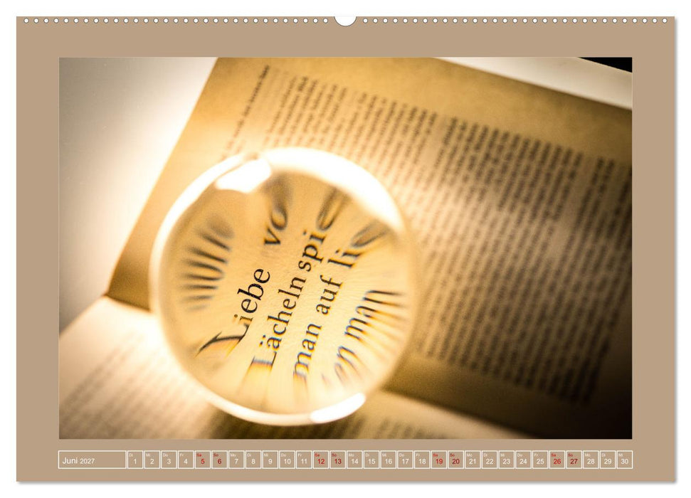 Bücher phantasievoll und sachlich (CALVENDO Wandkalender 2027)
