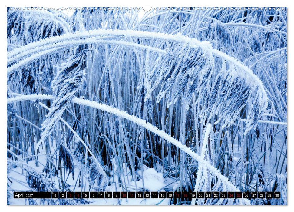 Wintertage in den Bergen (CALVENDO Wandkalender 2027)