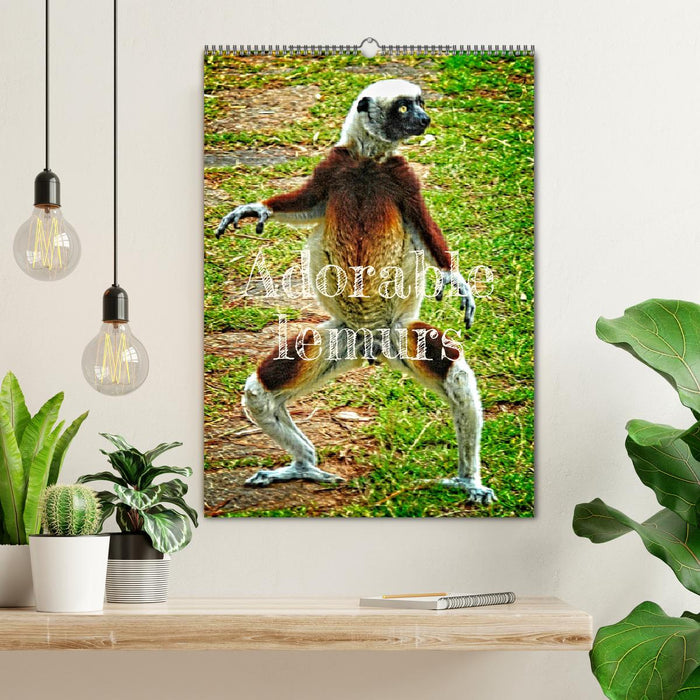 Adorable lemurs (CALVENDO Monthly Calendar 2027)