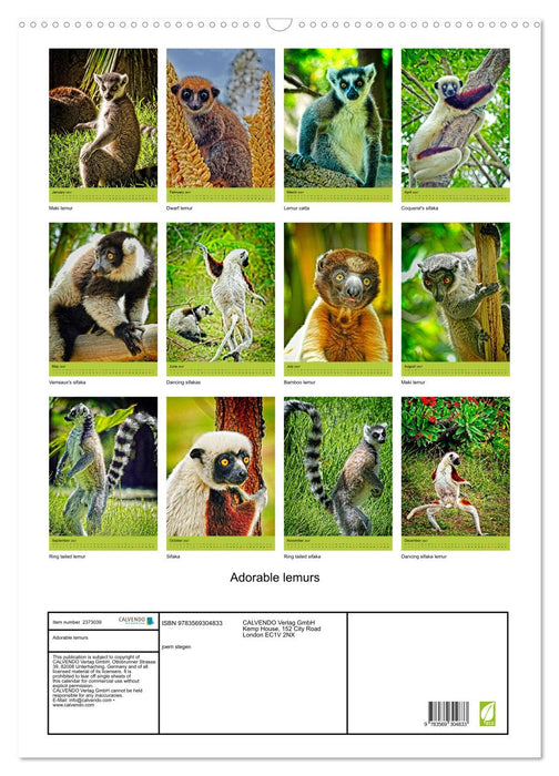 Adorable lemurs (CALVENDO Monthly Calendar 2027)