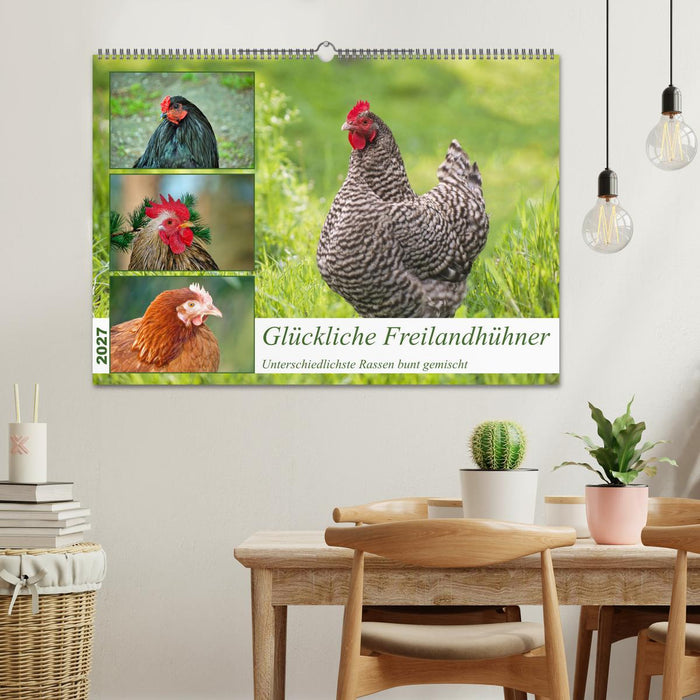 Glückliche Freilandhühner (CALVENDO Wandkalender 2027)