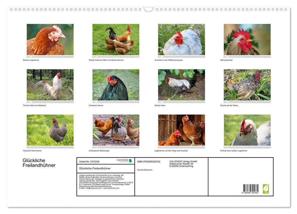 Glückliche Freilandhühner (CALVENDO Wandkalender 2027)