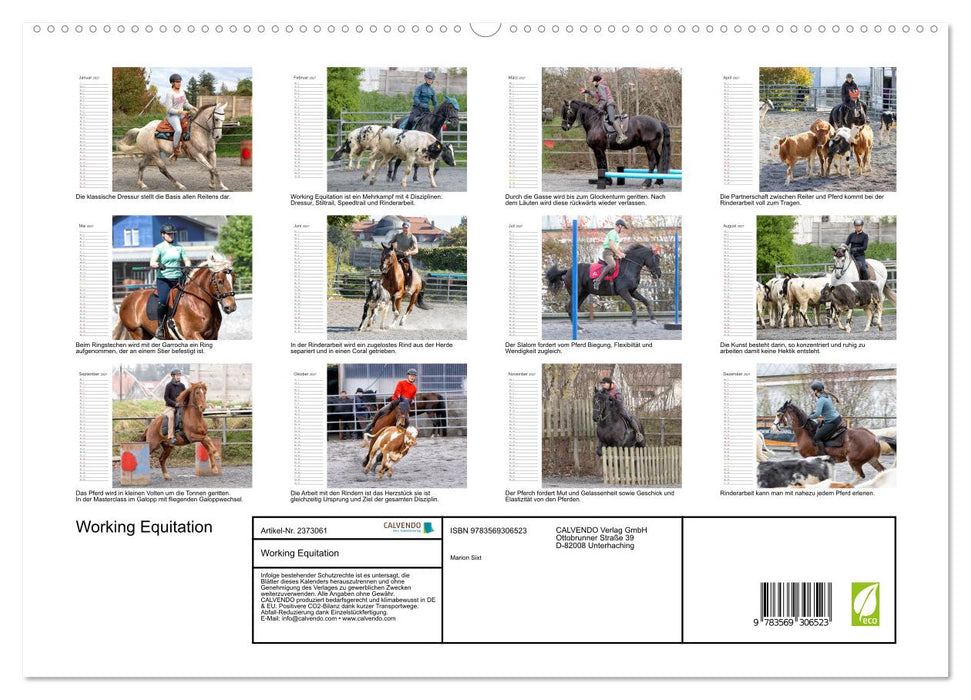 Working Equitation (CALVENDO Premium Wandkalender 2027)